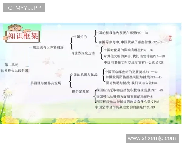 张宁在国际舞台上的崛起与成就探析：从学术到实践的多重影响力