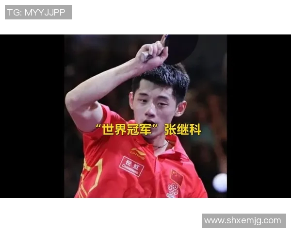 张继科与马龙2017年巅峰对决直播回顾精彩瞬间与赛后分析