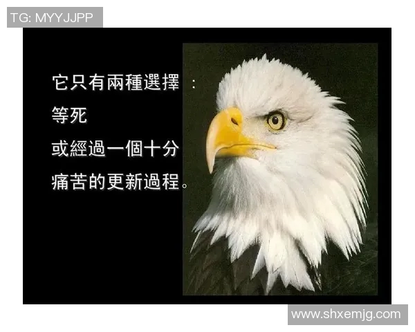 常林的奋斗与成长：从平凡到卓越的励志故事与人生启示