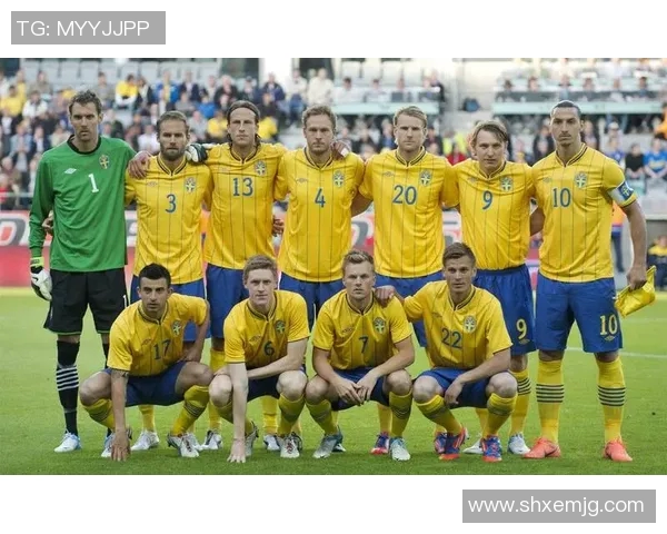 世预赛意大利对阵瑞典精彩回顾及赛况分析在PPTV观看指南