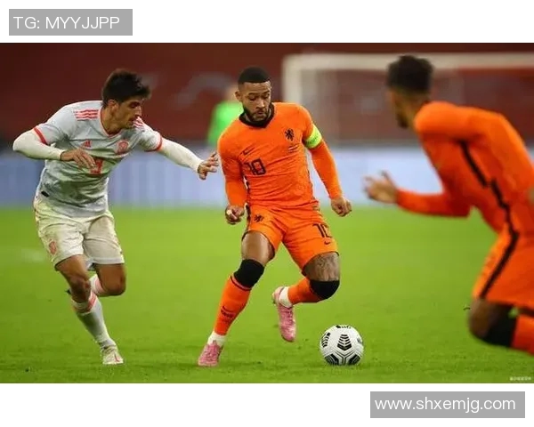 德国与荷兰欧预赛精彩回放分析及赛后点评