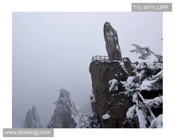 探索蒂姆波尔的奇幻世界与文化魅力,感受独特的自然风光与人文底蕴 探索蒂姆波尔的奇幻世界与文化魅力,感受独特的自然风光与人文底蕴