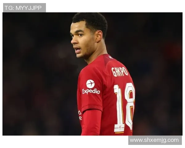 加克波在赛场上的华丽转身与未来发展潜力的深度分析与展望