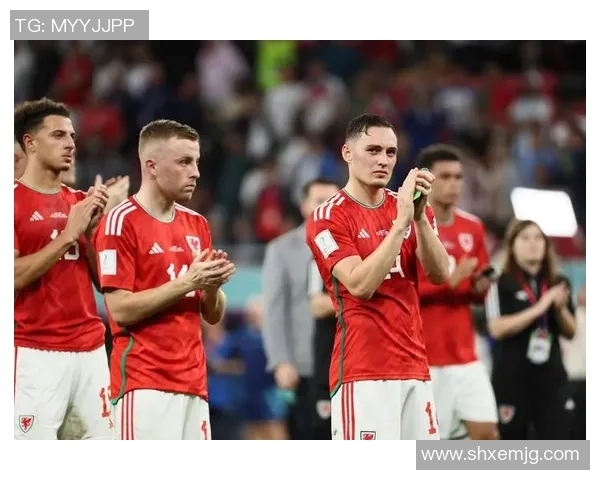 威尔士主场迎战芬兰球队期待展现实力与激情的较量