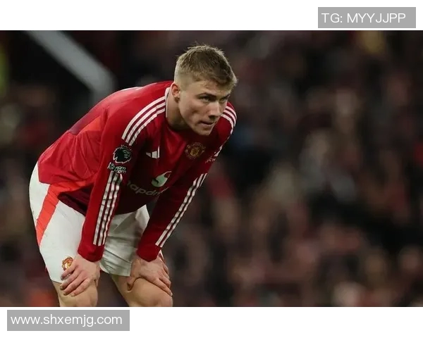 霍伊伦的传奇人生与时代变迁的交织探讨